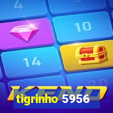 tigrinho 5956